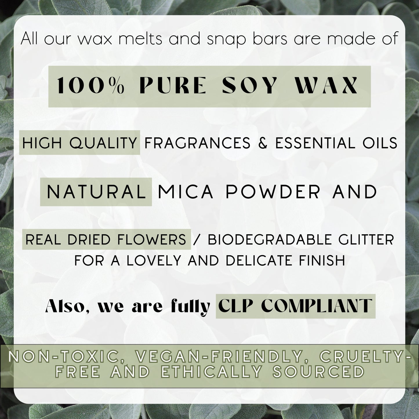Fruity Wax Melts Collection &  Burner Gift Set