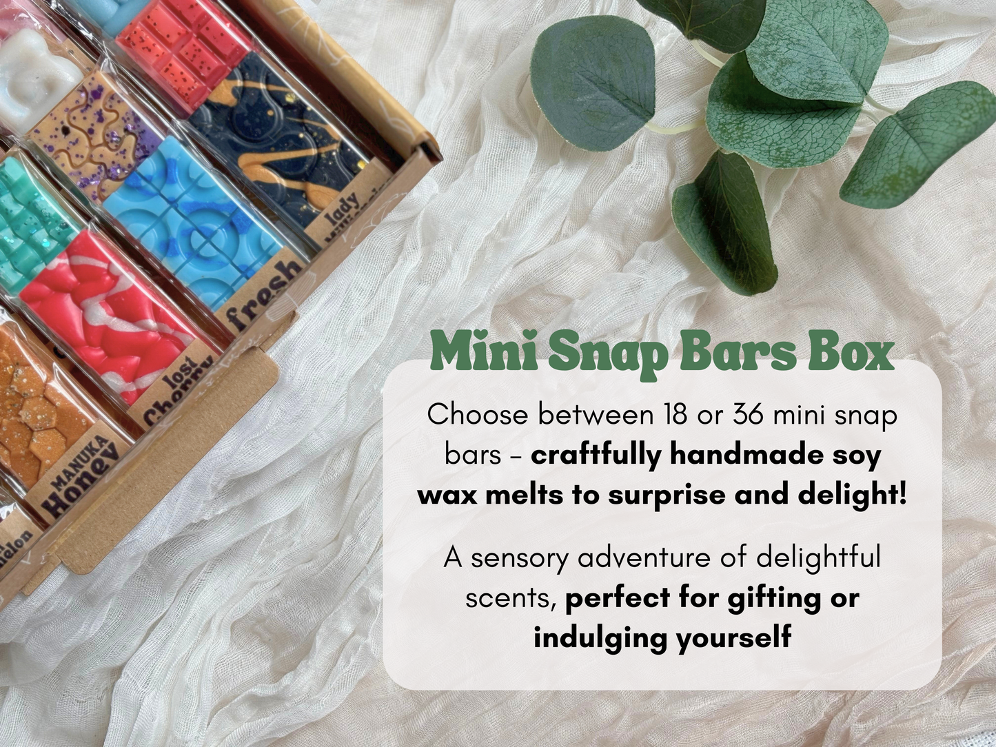 MINI Snap Bars Mystery Box
